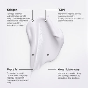 Infografika ze składnikami na jasnoszarym tle: po środku biała konsystencja kremu, u góry opisy Kolagen i PDRN, u dołu opisy Peptydy i Kwas hialuronowy.